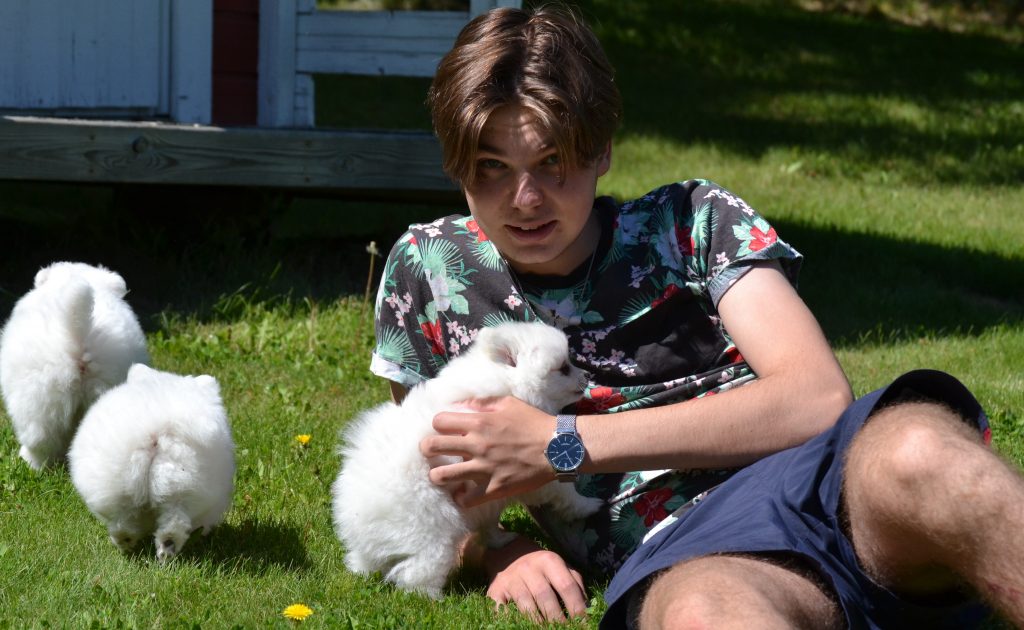 Tämän kuvan alt-attribuutti on tyhjä; Tiedoston nimi on Santtu-ja-pennut-1024x630.jpg